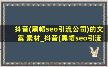 抖音(黑帽seo引流公司)的文案 素材_抖音(黑帽seo引流公司)的文案素材软件
